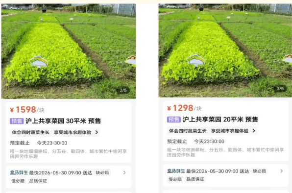 Chinese Grocery Chain Turns QQ Farm Into Actual Farmland You Can Rent